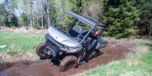 Dyr, stark – och oväntat bra i skogen