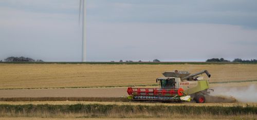 Lantmännen: Bättre skörd än 2016
