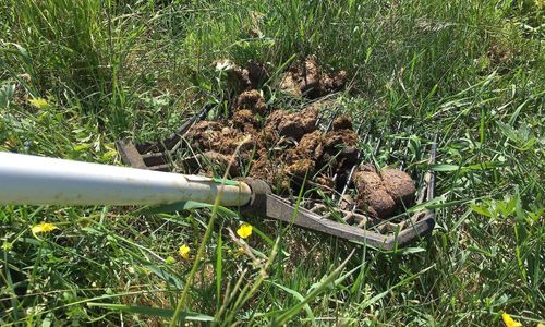 Mockning gör stor skillnad