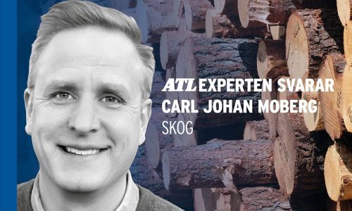 Sköt skogen själv och lär känna den