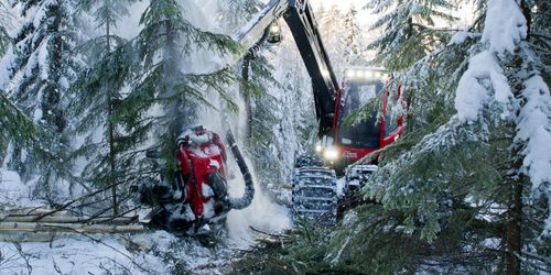 Risk att skogen inte klassas som hållbar