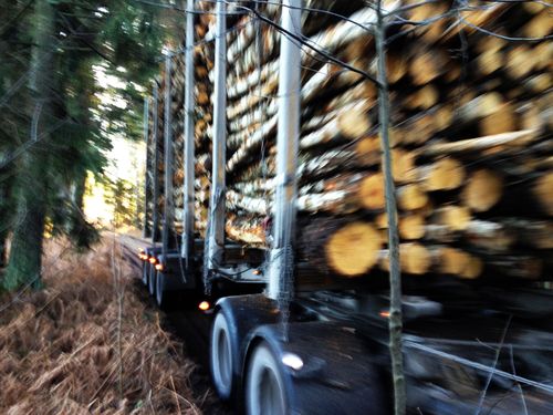 Vägskatten blir verklighet