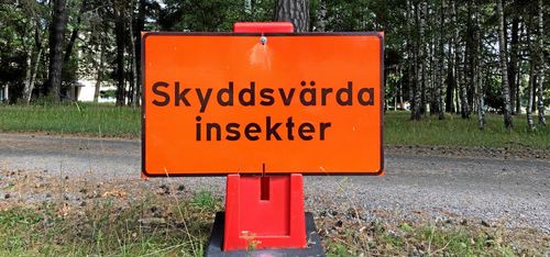 Svårt få köpare till virke från nyckelbiotoper