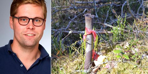 Sveaskog: Inte fel på våra rutiner