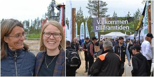 Jämställt i fokus på Skogsnolia