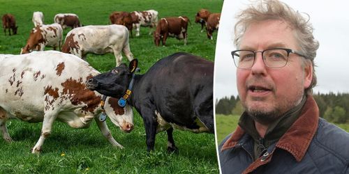 Så vill han rädda de svenska smågårdarna i Arla