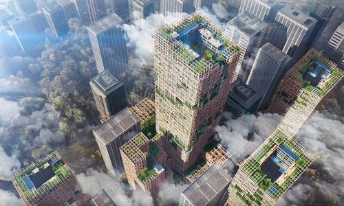 De vill bygga världens högsta skyskrapa - i trä