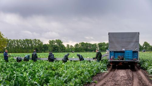 Här är livsmedlen som blivit dyrare