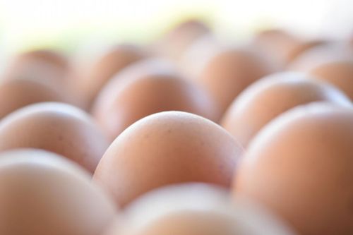 Så har starten gått för äggpulvret