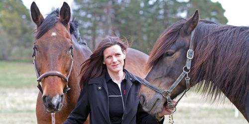 Två stall drabbade av virusabort – med nervsymtom