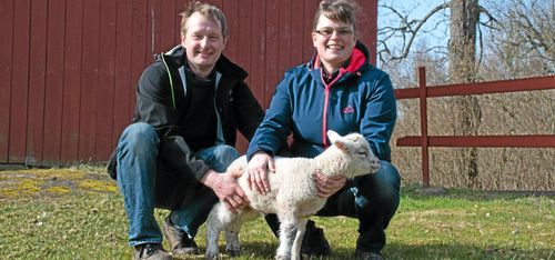 Så går gården runt med få djur