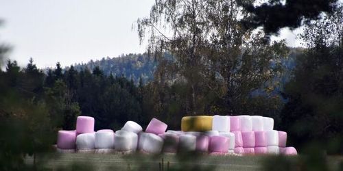 Sålde foder som inte fanns