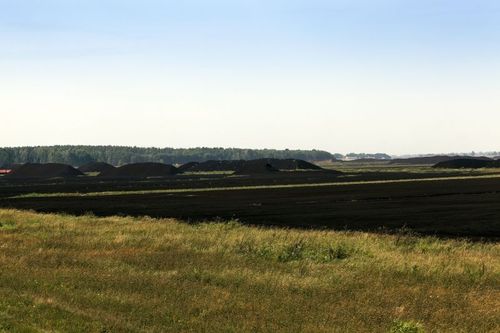 Nästan en tredjedel av allt markbundet kol finns i torvjordar.