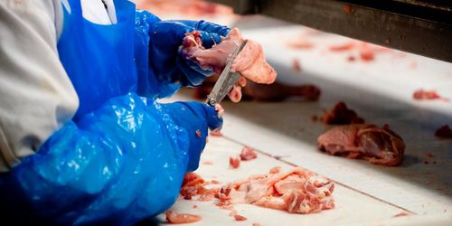 Maskinstrul på Kronfågel – har pågått i månader