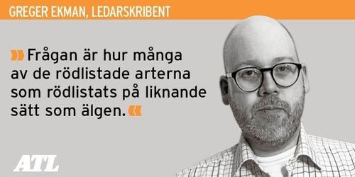 ”Älgstammen behöver minskas – inte rödlistas”