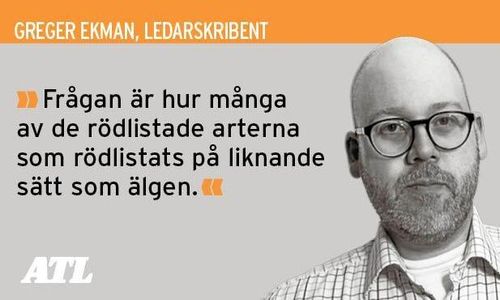 ”Älgstammen behöver minskas – inte rödlistas”