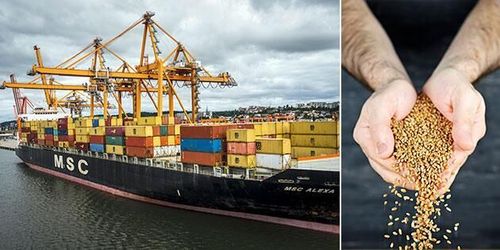 Matimporten fortsätter öka