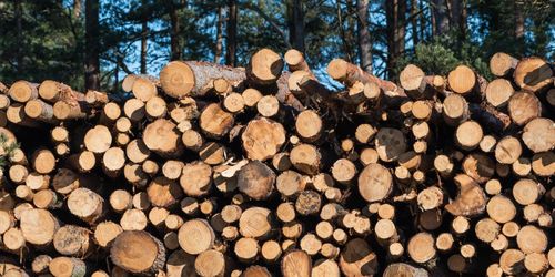 Fortsatt stora virkeslager