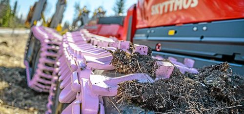 Rosa band driver forskningen