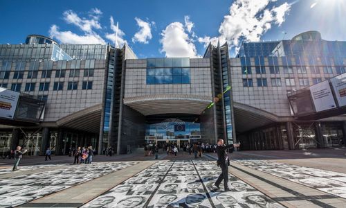 Stöd för starkt Cap i budgetutskott