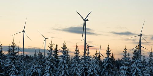 ”Vindkraft är inte den nya gröna vågen”