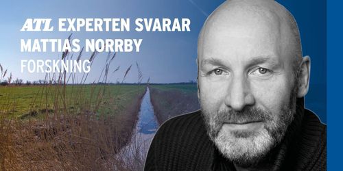 ”Sockerbetor svarar mycket bra på kalkning”