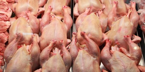 Scandi Standard höjer investeringsprognosen