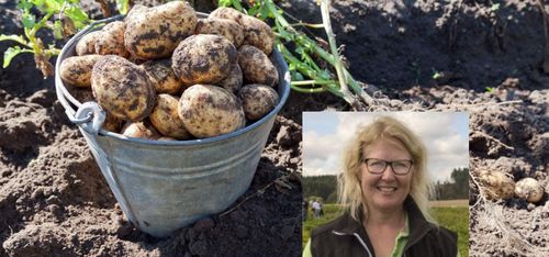 Kvalitet kommer inte själv och är inte gratis