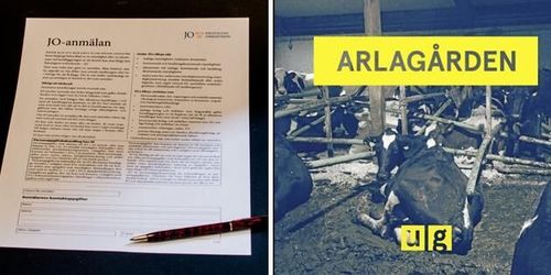 27 anmälningar mot länsstyrelsen efter SVT-program