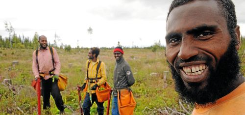 Mångfalden lyfter sättarlaget