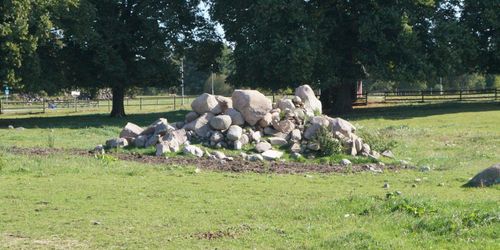 Skyddade stenhögar blir riksdagsfråga