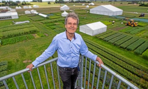 Demoodlingen som blev jättemässa