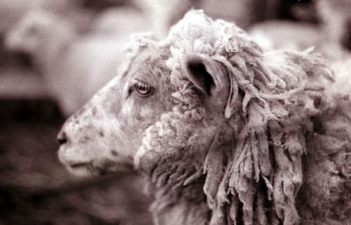 Tingsrätt anklagas för grova fel