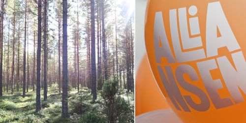 Alliansen: Så vill vi stärka äganderätten