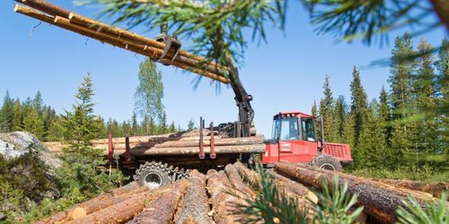 ”Stoppa den militanta aktivismen i skogen”