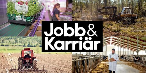 Träffa Jobb & Karriär på Borgeby
