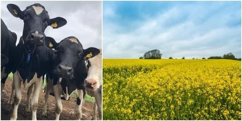 Krav ger eko-bönder 1,5 miljarder tillbaka