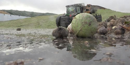 Om regeringens besked får några effekter på Gasums grödbaserade biogasproduktion i Jordberga är fortfarande oklart. Men däremot kan beskedet få andra effekter för företaget.