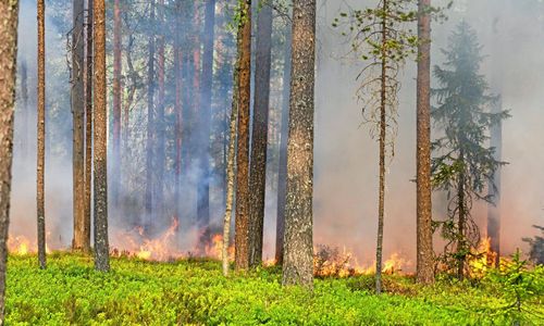 "Det behövs ett kunskapslyft"