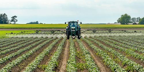 ”Vi måste ha verklig självförsörjning”