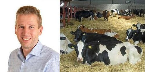 Slakterijätte stänger digital anmälan: ”Väldigt högt tryck”