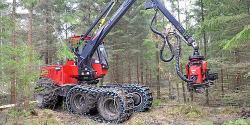 Avverkningsanmälningarna på rekordnivå