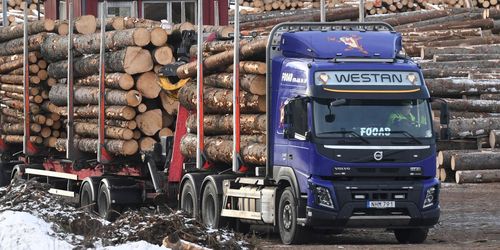 Hemmafix och export tömmer trälagren