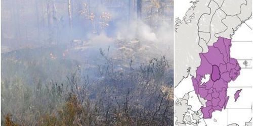 Stor risk för gräsbränder – skogsägare varnas