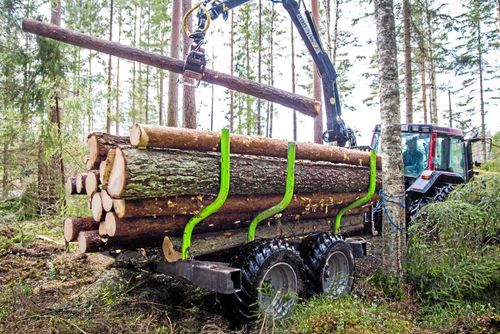 Bakslag för svensk skogspolitik