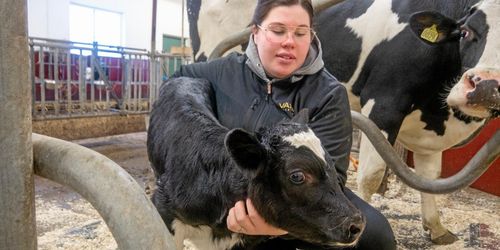 Ung djurskötare prisas: ”Våga visa att du kan”