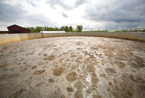 I Mönsterås ska gödsel bli energi och förädlad gödning. Arkivbild.