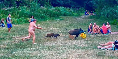 Jagades av tysk nudist – hotas av avlivning