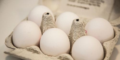 Danægkoncernens resultat stiger med 28 procent