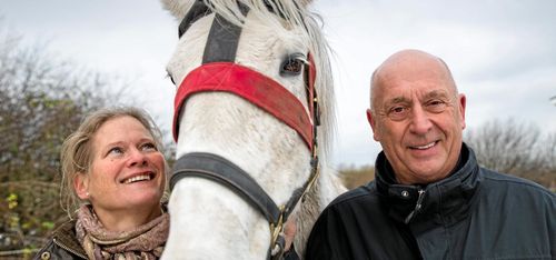 Smarta grimman håller koll på hästen